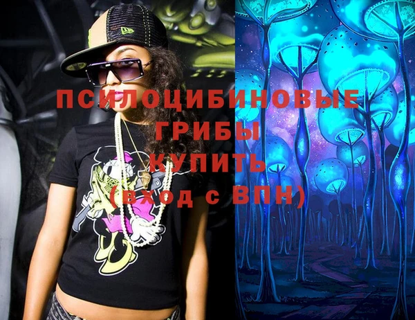 кокс Алексин