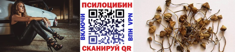 Псилоцибиновые грибы Psilocybe  Усинск 
